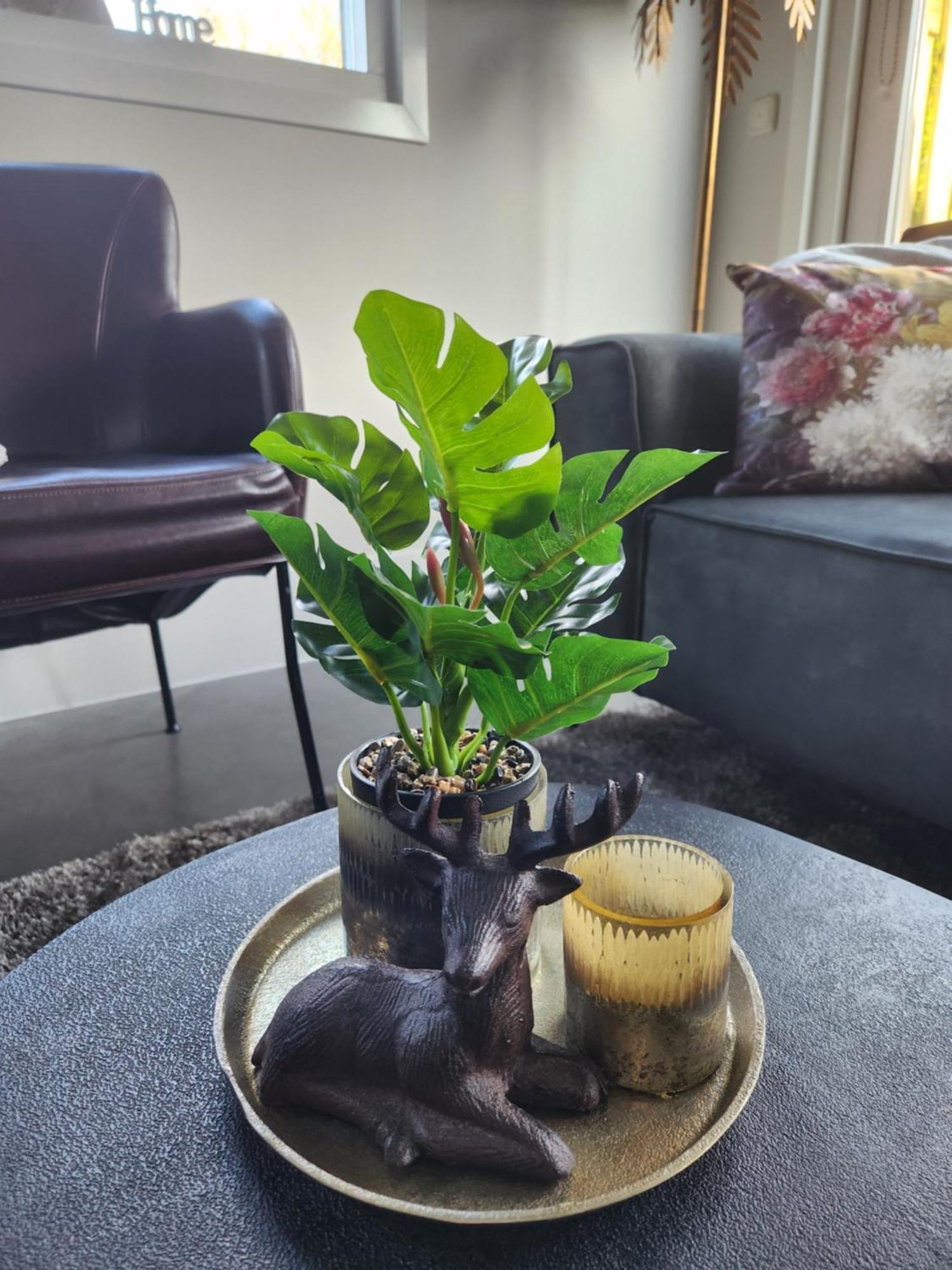 B&B Trust Barneveld Bagian luar foto
